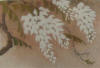 DSC03088.JPG (384535 bytes)